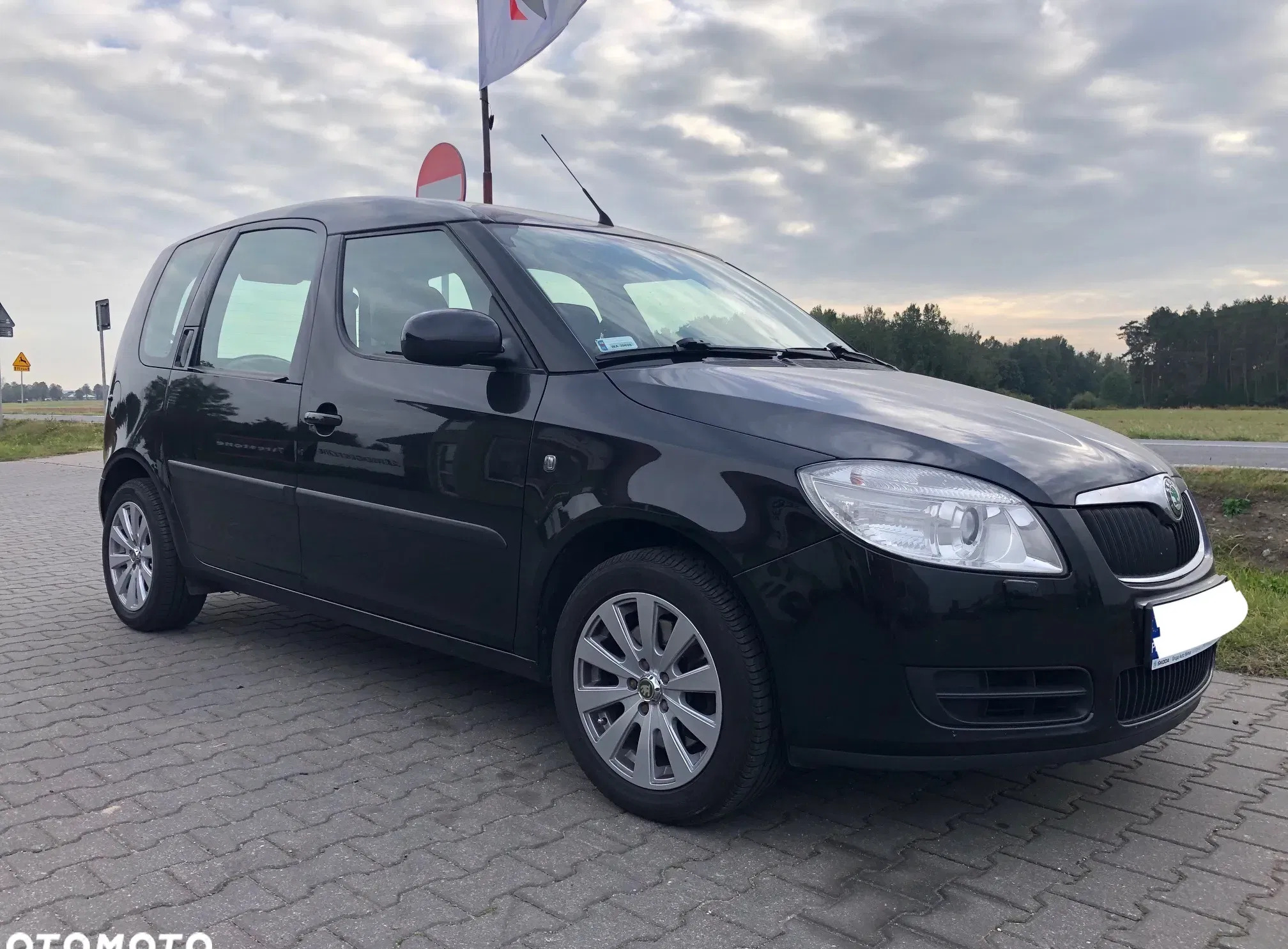 mazowieckie Skoda Roomster cena 18500 przebieg: 179850, rok produkcji 2007 z Pułtusk